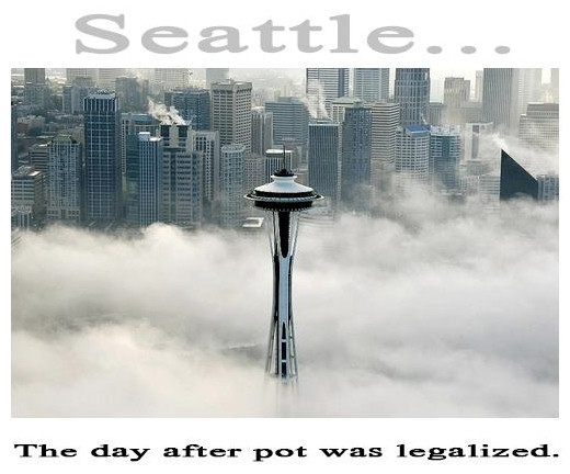 FoggySeattle_Marijuana.jpg
