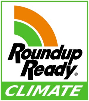 ROUNDUP.jpg