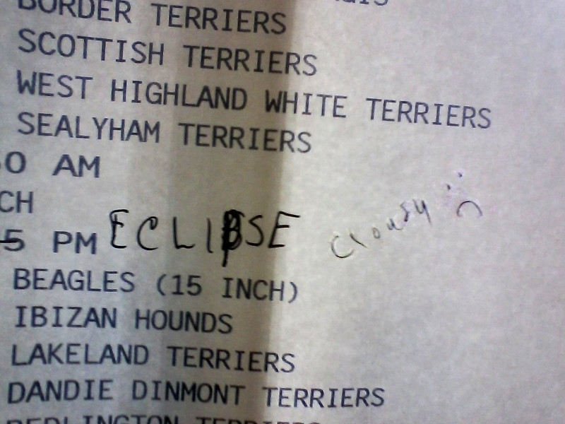 eclipse.jpeg