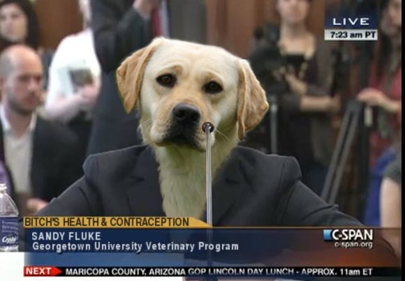 sandy-fluke.jpg
